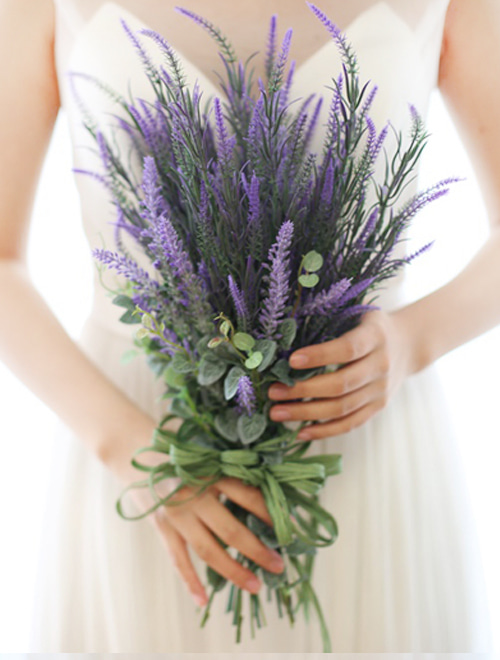 Vivace lavender